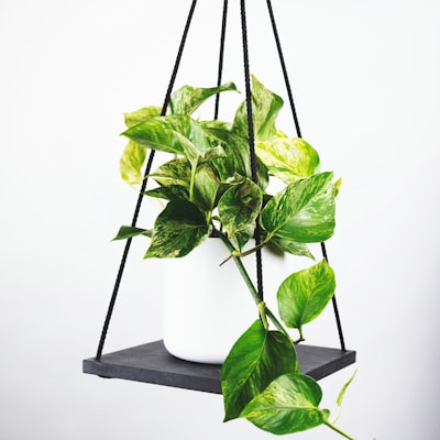 世界杯赛事前瞻分析文章配图：教练战术板特写